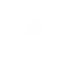 Flor Catorce Cafeteria Xalapa Mosaico